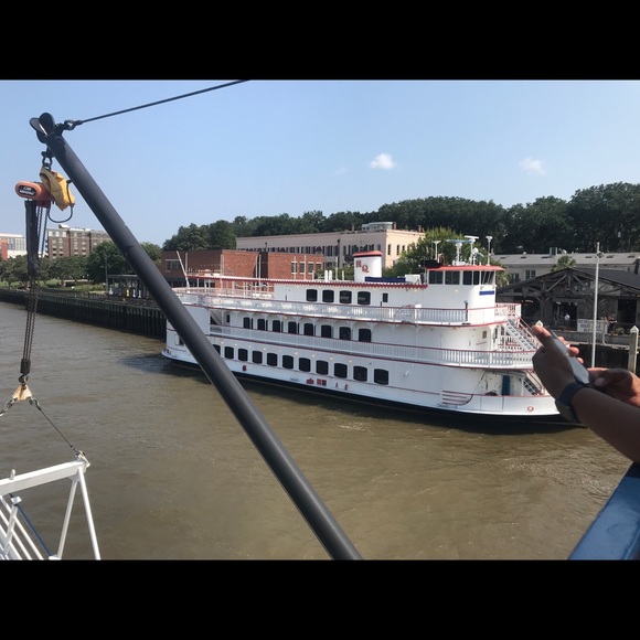 Meet your Posher, Gwen - Picture 1 of 1